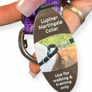 LUPINE Purple Jelly Roll Martingale Dog Collar Adjustable 1” Width